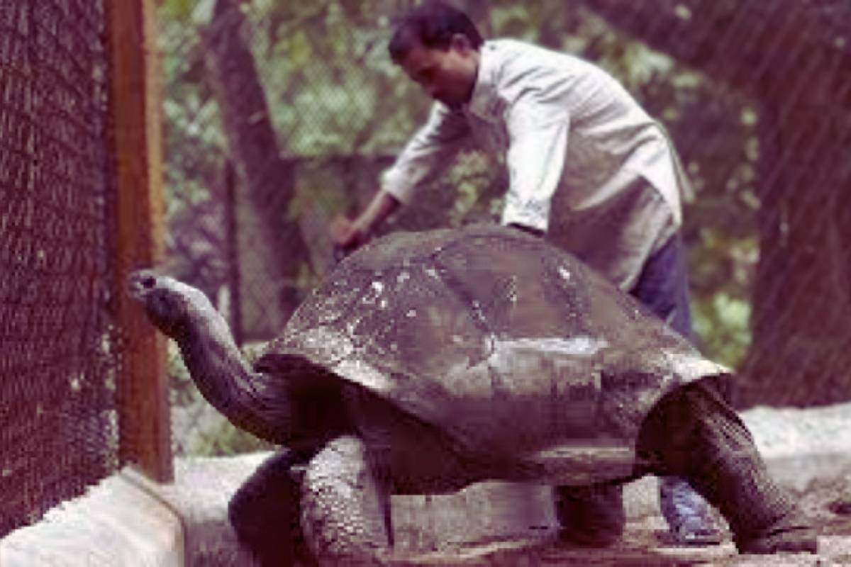 125-year-old Tortoise Chanakya died in Hyderabad Zoo.